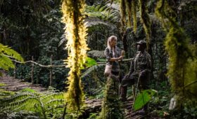 Uganda vs Rwanda gorilla trekking, compare gorilla trekking, gorilla permits Uganda, Rwanda trek guide, best place to see gorillas, gorilla trekking costs, Bwindi vs Volcanoes Park, Uganda gorilla safari, Rwanda gorilla permits, East Africa trekking comparison