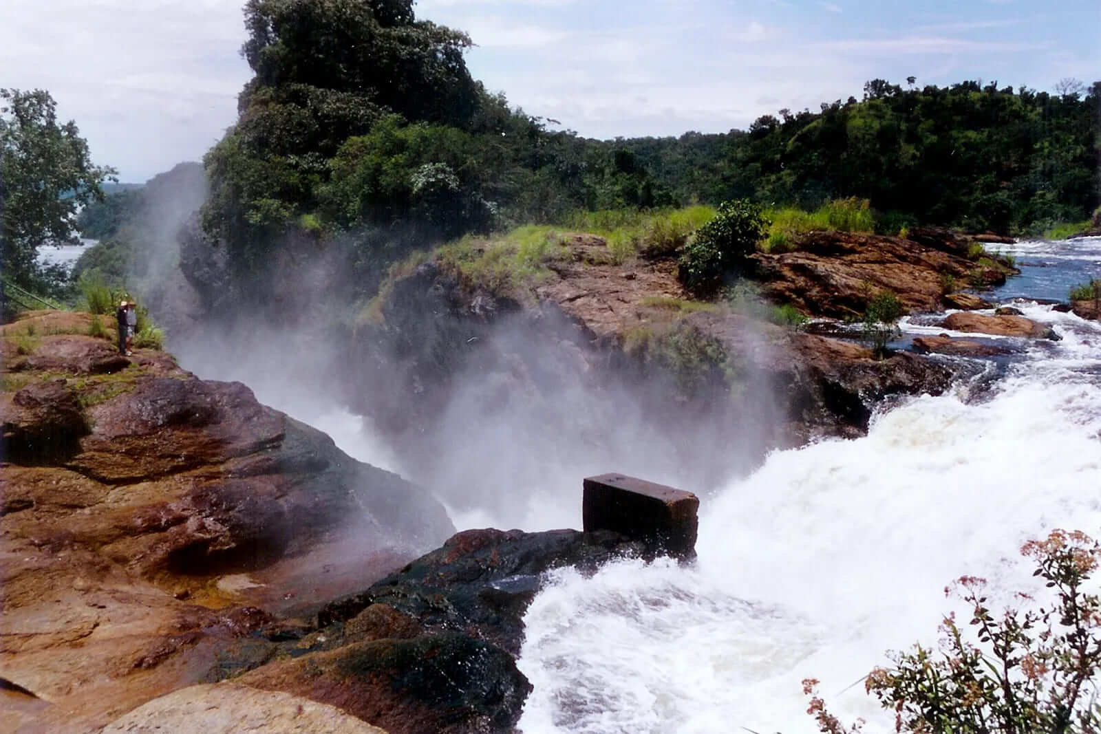 Murchison Falls and Queen Elizabeth, best safari park Uganda, compare Uganda national parks, Murchison wildlife tour, Queen Elizabeth tree-climbing lions, Uganda big 5 parks, game drives Uganda, safari boat cruise, safari comparison Uganda, nature parks Uganda, Murchison Falls, Queen Elizabeth