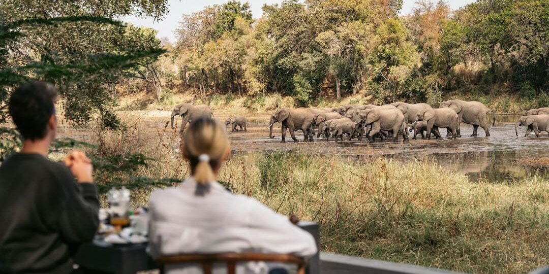 honeymoon safari in Uganda, romantic safari Africa, couple on safari, private lodge Uganda, gorilla trekking honeymoon, safari dinner setup, Uganda sunset romance, honeymoon travel Uganda, safari proposal ideas, romantic getaway East Africa