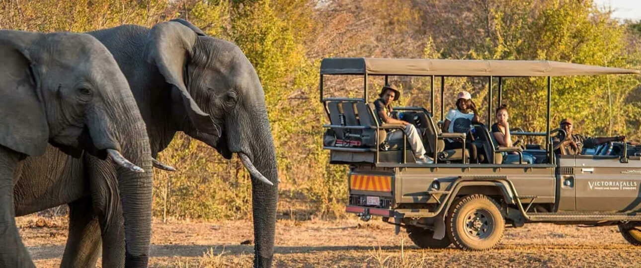 about us, Uganda safari company, gorilla trekking tour operator, safari guides Uganda, Uganda travel experts, African wildlife tours, Siyabonge Tours team, local safari guides Uganda, Uganda tourism professionals, ethical tour company Uganda, East Africa travel agency