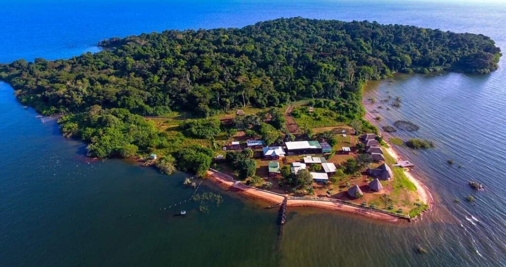 Ngamba Island, chimpanzee sanctuary Uganda, Lake Victoria island tour, eco-tourism Uganda, visit Ngamba Island, Uganda hidden gems, chimpanzee rescue centre, nature tour Uganda, Ngamba boat trip, wildlife sanctuary Uganda