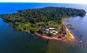 Ngamba Island, chimpanzee sanctuary Uganda, Lake Victoria island tour, eco-tourism Uganda, visit Ngamba Island, Uganda hidden gems, chimpanzee rescue centre, nature tour Uganda, Ngamba boat trip, wildlife sanctuary Uganda