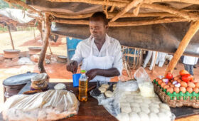 first time visiting Uganda, Uganda travel guide, Uganda airport arrival, Uganda visa tips, cultural tips for Uganda, safari travel for beginners, Uganda tourism advice, backpacking Uganda first time, local travel in Uganda, safety tips for Uganda safari