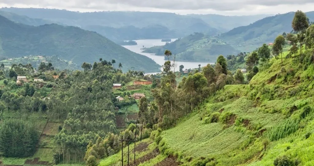 reasons to visit Uganda, gorilla trekking Uganda, Uganda landscapes, cultural tours Uganda, wildlife Uganda, African travel, adventure Uganda