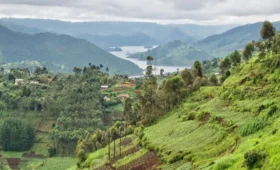 reasons to visit Uganda, gorilla trekking Uganda, Uganda landscapes, cultural tours Uganda, wildlife Uganda, African travel, adventure Uganda