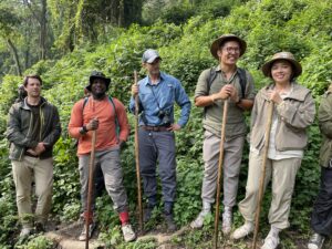 Trekking through dense rainforest to encounter endangered mountain gorillas in their natural habitat, guided by expert rangers.