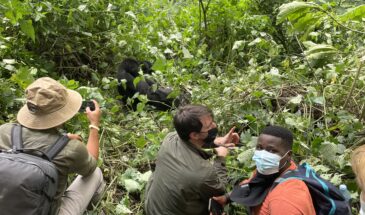 Interaction with Forest Giants Interaction with Forest Giants